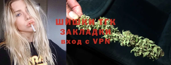 ПСИЛОЦИБИНОВЫЕ ГРИБЫ Баксан