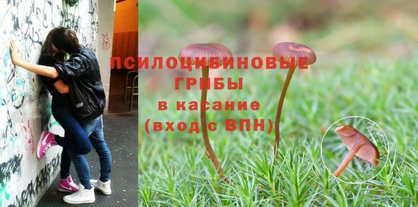 каннабис Мегион