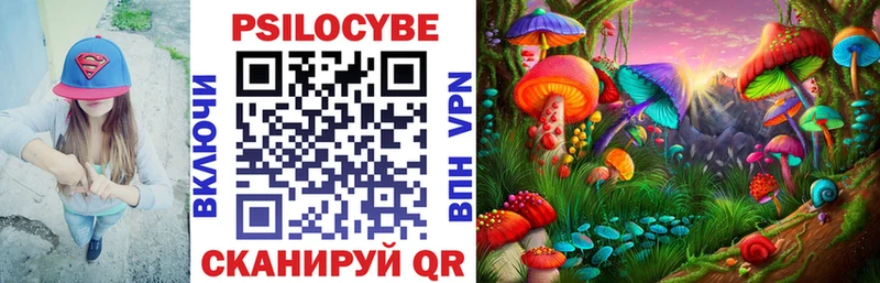 кракен зеркало  Коммунар  Псилоцибиновые грибы мухоморы 