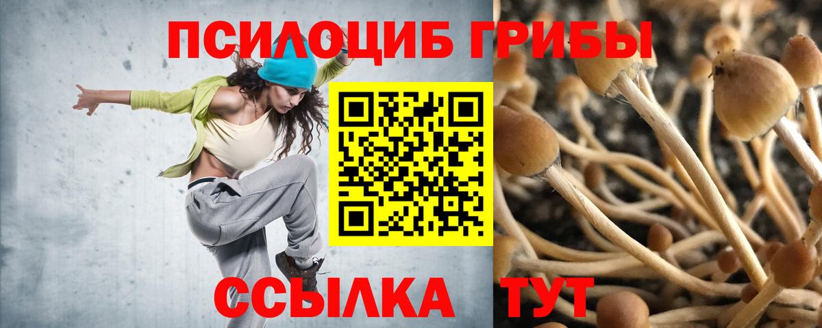 Галлюциногенные грибы GOLDEN TEACHER Коммунар