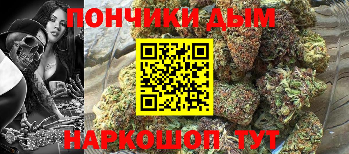 Канабис SATIVA & INDICA  Коммунар  Каннабис SATIVA & INDICA  Бошки марихуана SATIVA & INDICA 